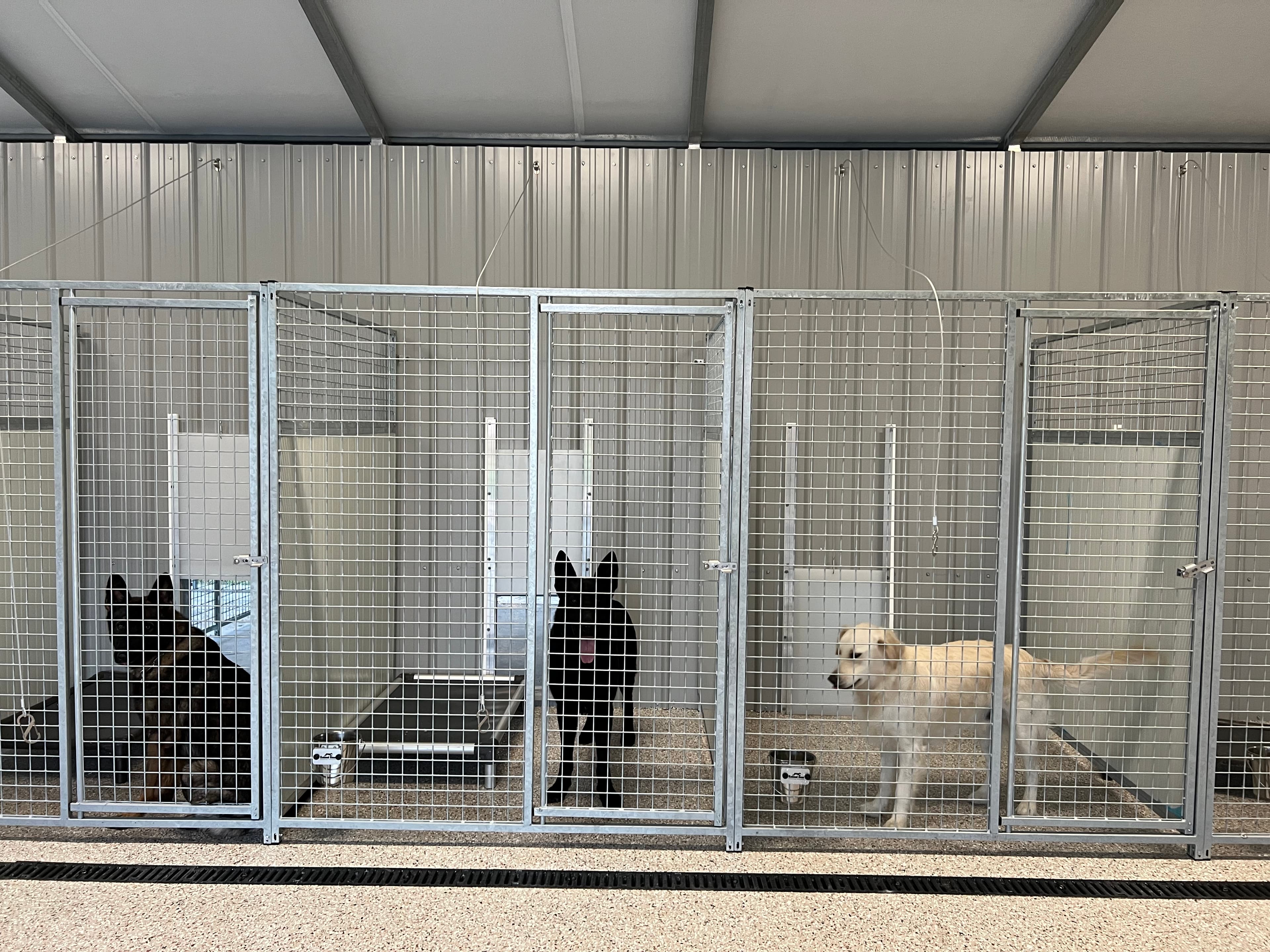 Indoor kennel hallway