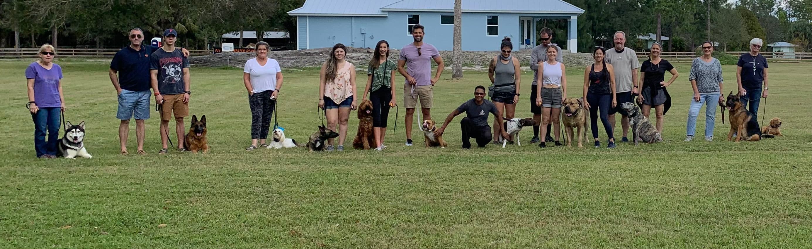 Dog training hero image