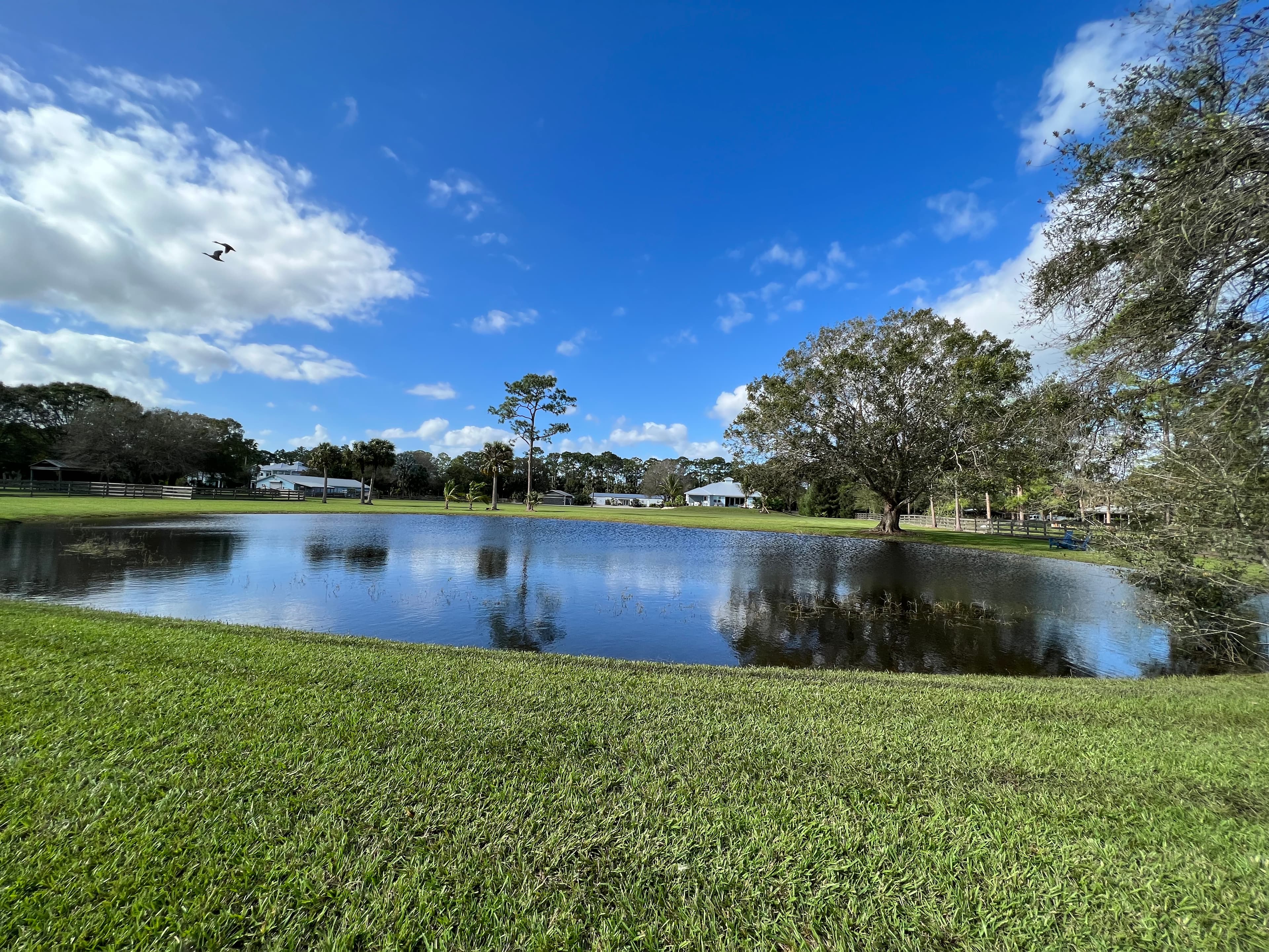 Lake view of the facility grounds