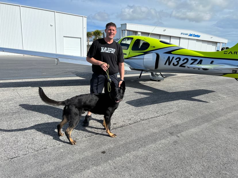 SERVICE DOGS