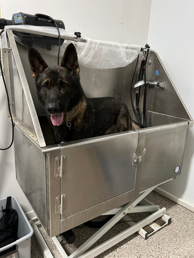 Grooming service 2
