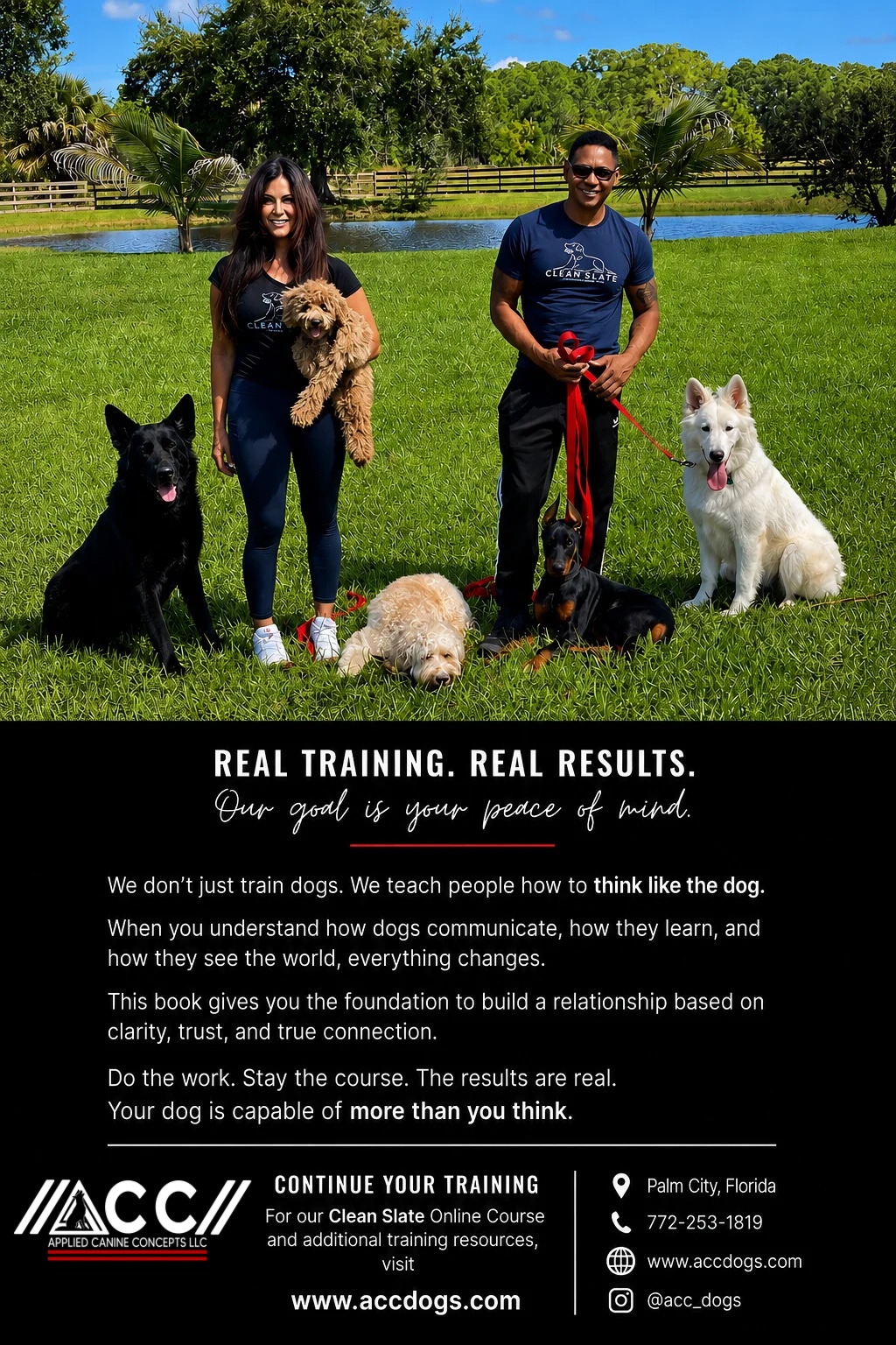 Think Like the Dog back cover